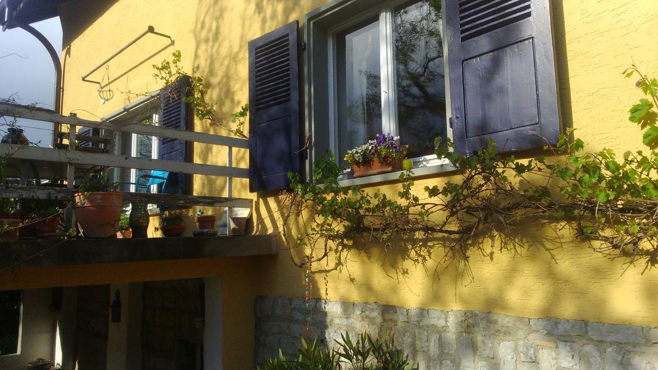 B&B Am Park ラインフェルデン エクステリア 写真
